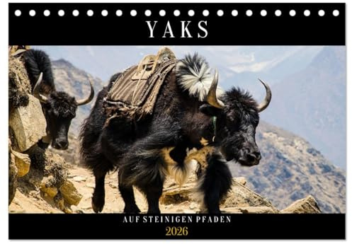 Yaks - auf steinigen Pfaden (Tischkalender 2026 DIN A5 quer), CALVENDO Monatskalender: Stimmungsvolle Bilder von Hausyaks und freilebenden Tieren in ... traumhafter Naturlandschaft (CALVENDO Tiere)
