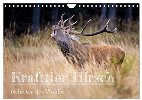 Krafttier Hirsch (Wandkalender 2026 DIN A4 quer), CALVENDO Monatskalender: Die besondere Magie von Krafttier Hirsch (CALVENDO Tiere)