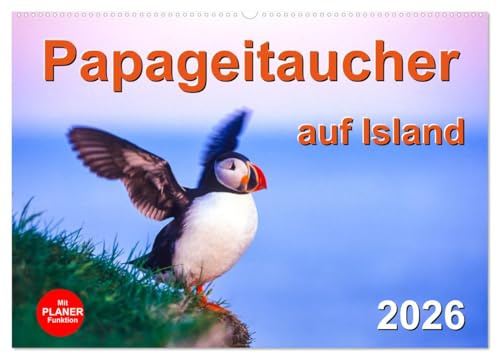 Papageitaucher auf Island (Wandkalender 2026 DIN A2 quer), CALVENDO Monatskalender: Beeindruckende Bilder des faszinierenden Vogels der Insel am Polarkreis (CALVENDO Tiere)