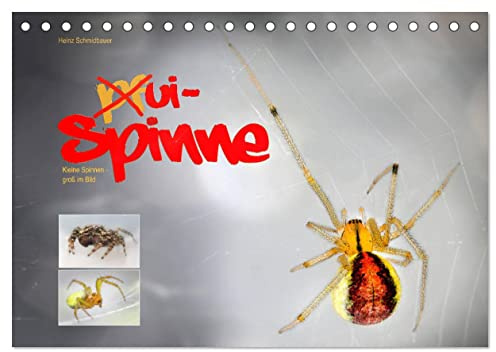 ui - Spinne. Kleine Spinnen - groß im Bild (Tischkalender 2026 DIN A5 quer), CALVENDO Monatskalender: Ein Querschnitt heimischer Spinnen im Miniformat ... aber gar nicht ekelig. (CALVENDO Tiere)