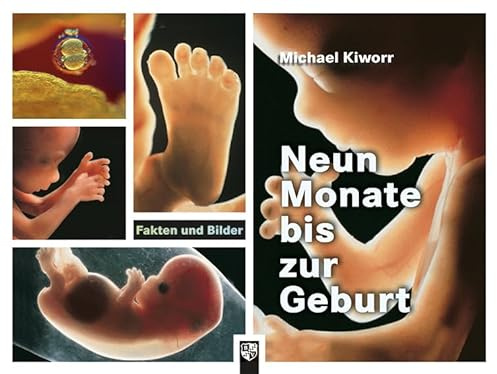 Neun Monate bis zur Geburt: Fakten und Bilder