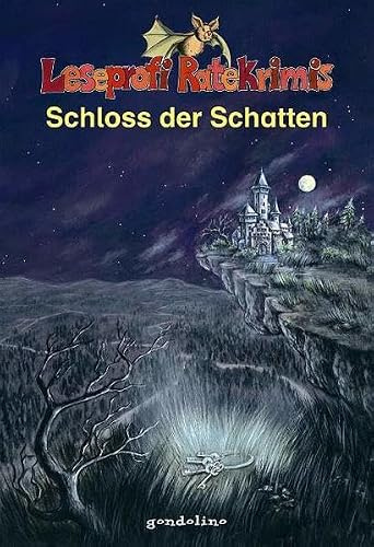 Schloss der Schatten (Leseprofi Ratekrimis)