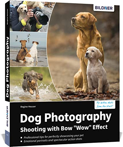 Dog Photography - Shooting with Bow Wow Effect