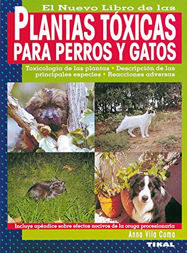 Plantas Toxicas Para Perros Y Gatos