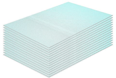 HoitoDeals 4mm Clear Plastic Polycarbonate Sheet Twinwall Greenhouse Shed Window Roof Panel (12 Sheet)