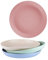 homchen Unbreakable Dinner Plates, 4 Pack 8.8 Plastic Plates Set for Family Party Picnic Home(8.8'')