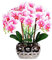 HOJIOESRD Grande Bonsai di Orchidea Artificiale con Vaso Realistico Phalaenopsis Real Touch Composizioni di Piante finte Ornamenti per Soggiorno, Bianco Viola