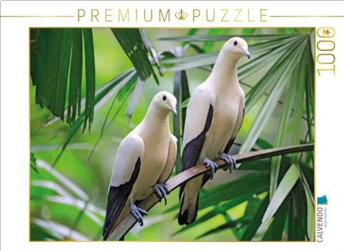 CALVENDO Puzzle Zweifarben Fruchttaube, EIN Paar auf einem Baum | 1000 Teile Lege-Größe 64 x 48 cm Foto-Puzzle für glückliche Stunden