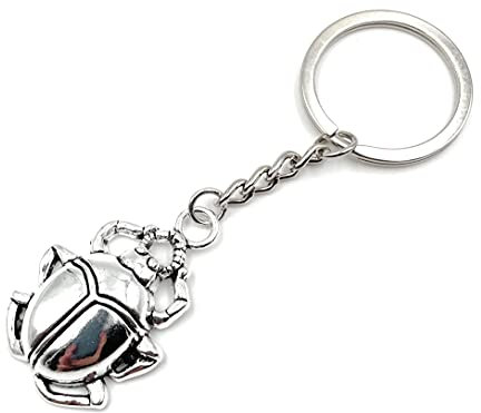 Onwomania Käfer Beetle Auto Schlüsselanhänger Metall Glücksbringer in Alu Geschenkbox, ideal zum Verschenken