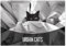 Urban Cats (Wandkalender 2025 DIN A3 quer), CALVENDO Monatskalender