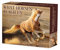 What Horses Teach Us 2024 6.2 X 5.4 Box Calendar