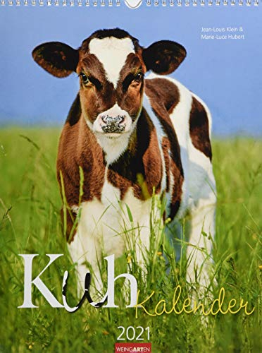 Kuh Kalender Kalender 2021