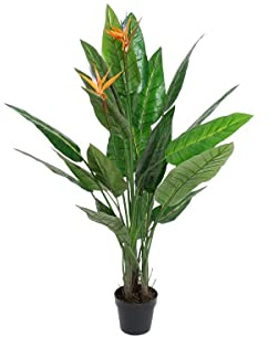 DKD Home Decor Dekorative Pflanze, Standard