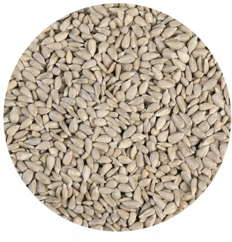 BrandNewCake® Graines de Tournesol 3kg - Idéales pour la Boulangerie et la Pâtisserie Maison