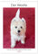 Der Westie - Portrait eines West Highland White Terriers (Wandkalender 2025 DIN A4 hoch), CALVENDO Monatskalender: Wunderschöne Fotos eines West ... kurz Westie genannt wird. (CALVENDO Tiere)