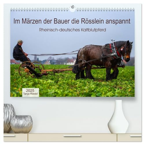 Im Märzen der Bauer die Rösslein anspannt (hochwertiger Premium Wandkalender 2025 DIN A2 quer), Kunstdruck in Hochglanz: Lebendige Vergangenheit, ... Kaltblut (CALVENDO Wissen)