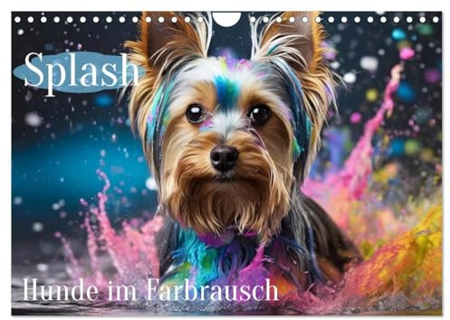Splash - Hunde im Farbrausch (Wandkalender 2026 DIN A4 quer), CALVENDO Monatskalender: Hunde im farbigen Wasserbad (CALVENDO Tiere)