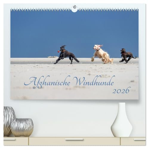 AFGHANISCHE WINDHUNDE 2026 (hochwertiger Premium Wandkalender 2026 DIN A2 quer), Kunstdruck in Hochglanz: Sie sind schnell, stolz und wunderschön - Afghanische Windhunde! (CALVENDO Tiere)