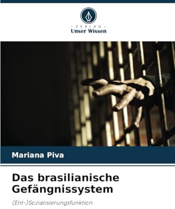 Das brasilianische Gefängnissystem: (Ent-)Sozialisierungsfunktion