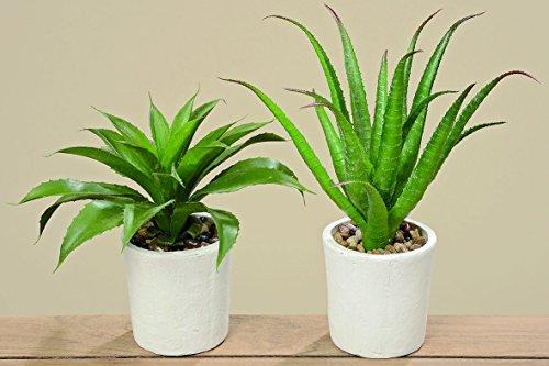 Dapo 2 x Agave im weissen Topf Kunstpflanze Dekoration Pflanze Dekopflanze Geschenk