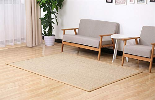 LIVEINU Sisal Natur Teppich mit rutschfest Sisalteppich Modern Hochwertige Bordüre Flachgewebe Sisal Läufer Teppich Fußmatten Für Schlafzimmer 60x90cm Beige