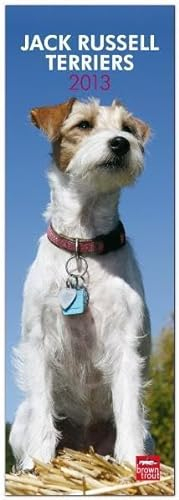 Jack Russell Terriers 2013: Jack Russell Terrier (Slimline-Kalender)