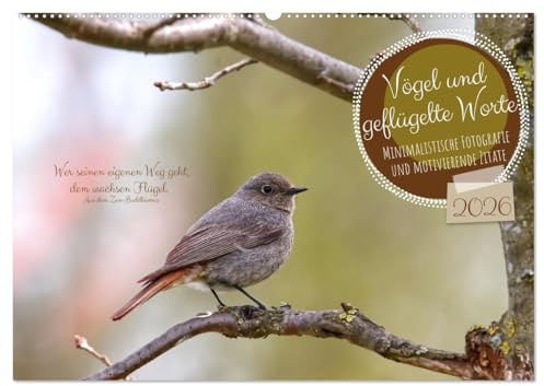 Vögel und geflügelte Worte (Wandkalender 2026 DIN A2 quer), CALVENDO Monatskalender: Minimalistische Fotografie und motivierende Zitate (CALVENDO Tiere)
