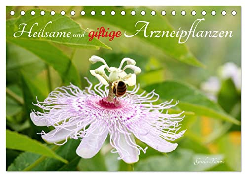 Heilsame und giftige Arzneipflanzen (Tischkalender 2026 DIN A5 quer), CALVENDO Monatskalender: Blühende Heilpflanzen wunderschön porträtiert, mit ... ihrer Wirkweisen (CALVENDO Gesundheit)