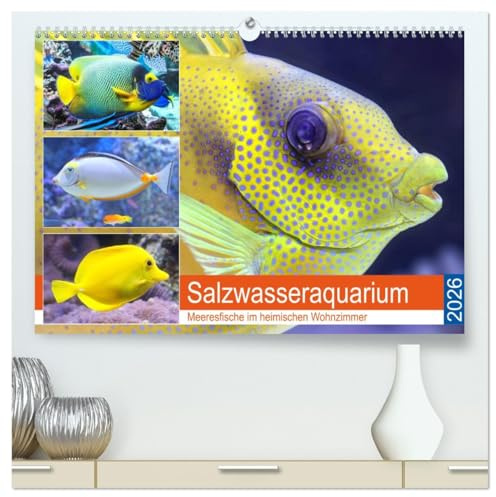 Salzwasseraquarium. Meeresfische im heimischen Wohnzimmer (hochwertiger Premium Wandkalender 2026 DIN A2 quer), Kunstdruck in Hochglanz: Traumhaft schöne Fische im Meerwasseraquarium (CALVENDO Tiere)