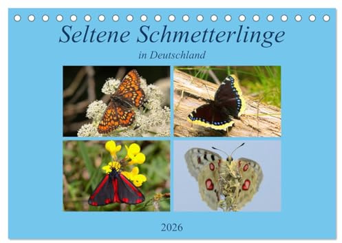Seltene Schmetterlinge in Deutschland (Tischkalender 2026 DIN A5 quer), CALVENDO Monatskalender: Einblick in die Welt der Schmetterlinge (CALVENDO Tiere)