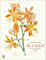 Thorbeckes Blumen-Kalender 2024