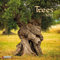 Trees 2025: Kalender 2025 (Mindful Edition)