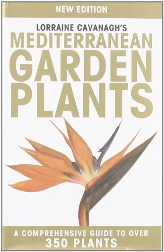 Lorraine Cavanagh's Mediterranean Garden Plants