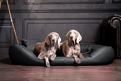 tierlando® Orthopädisches Hundebett Sammy | Pflegeleichtes Kunstleder | Dicke Umrandung | L - XXXXL Hundesofa (Graphit Grau Gr. L 100 cm