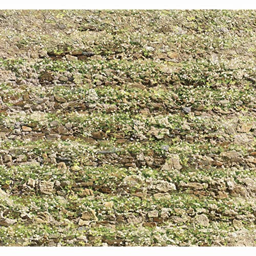 Papier Peint intissé 270x250 cm - Décoration Murale intérieure avec Fleurs Blanches et Pierres, Mur végétal du Sud