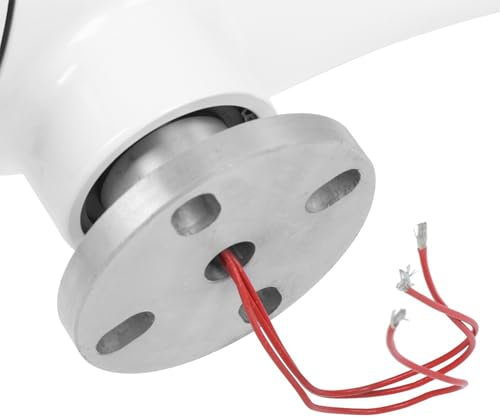 Kit de Generador de Turbina Eólica, Generadores Eólicos para Uso Doméstico de 800 W Diseñados para una Fácil Instalación, para Barcos, Terrazas y Cabañas (24V)