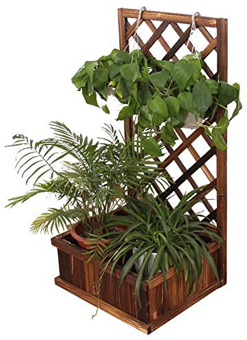 KHLMSRXJ Support pour Plantes et Fleurs, Support pour Pots de Fleurs sur Pied, Vigne grimpante, Grille d'art en Bois antiseptique, Couleur carbonisée (Couleur : 50x36,5x100cm) (Couleur : 50