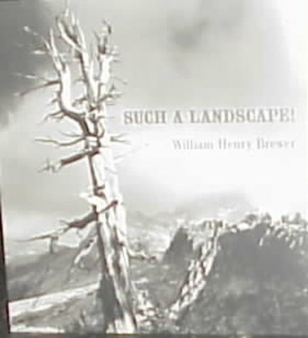Such a Landscape!: A Narrative of the 1864 California Geological Survey Exploration of Yosemite, Sequoia & Kings Canyon from the Diary, Field Notes, Letters & Reports of