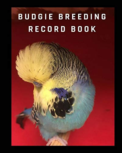 Budgie breeding record book: log book for birds ,notebook, diary, hatching chicks,eggs,cage,100 templates 8 x 10