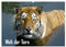 Welt der Tiere (Wandkalender 2025 DIN A2 quer), CALVENDO Monatskalender