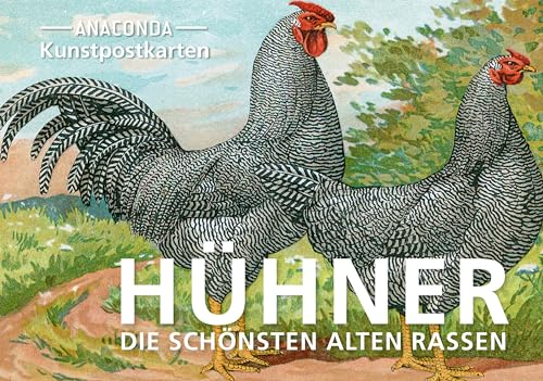 Postkarten-Set Hühner: 18 Kunstpostkarten aus hochwertigem Karton. ca. 0,28€ pro Karte (Anaconda Postkarten, Band 85)