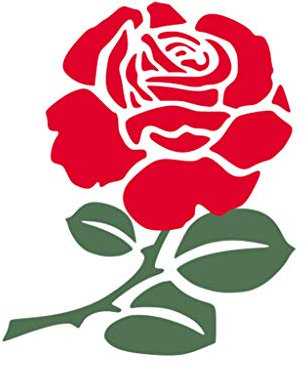 TENNER.LONDON Set of 5 English Rose Iron on Screen print Fabric Applique machine washable transfer England Rose