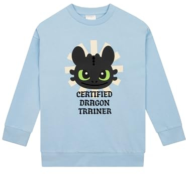 How To Train Your Dragon Pullover Mädchen, Toothless Sweatshirt Kinder Mädchen, Baumwolle Kinder Pulli