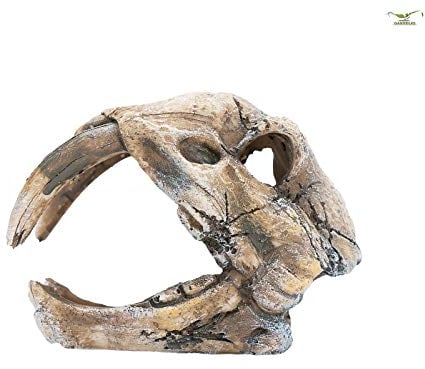 Happet Sp z.o.o. Nano Zeolith Stones