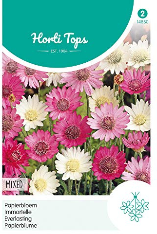Hortitops 14850 Papierblume Mischung (Blumensamen)