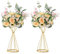 Sziqiqi Blumenständer Gold für Hochzeit: 50cm Hohe Trompete Vase für Tische Hochzeitsempfang Set of 2 Mittelstücke Dekoration für Party Geburtstags Event Festival Feier