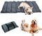 Wasserdichte Hundematte für Outdoor Faltbar Waschbares Hundebett Grosse Hunde Tragbare Hundematte für Haustiere Picknickdecke Multifunktionales Reisedecke für Den Hunde Katzen 110x68 cm (Grau)