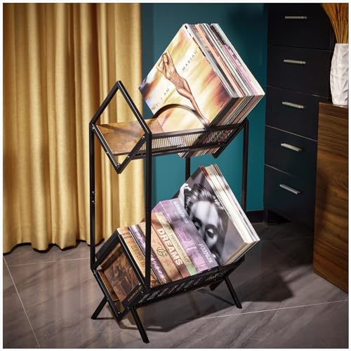 LiebeRen Förvaring av vinylskivor, skivhållare, vinylskivhållare, 2 nivåer album förvaringsställ för vinylskivor, 170-220 LP förvaring vinylskivehållare.