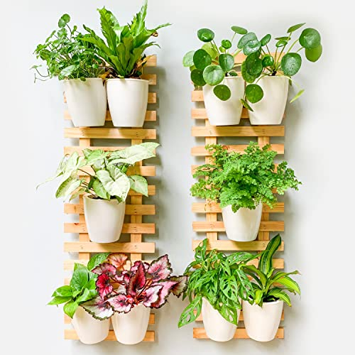 ShopLaLa Lot de 2 jardinières murales en bois à suspendre pour plantes d'intérieur Support mural en bois naturel Système de jardin vertical unique Grande plante verte vivante Décoration murale 90 cm