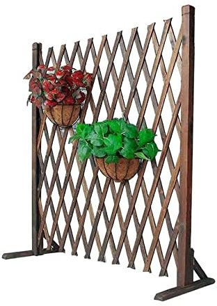 Absperrtür-Sicherheitstor – Gartenzaun – einziehbarer Gartenzaun für den Außenbereich, steckbare Trennwand, gewölbter Zaun, Klettergerüst für Pflanzen aus Holz, für Parks/Hotels/Gärten (150 x 120 cm)